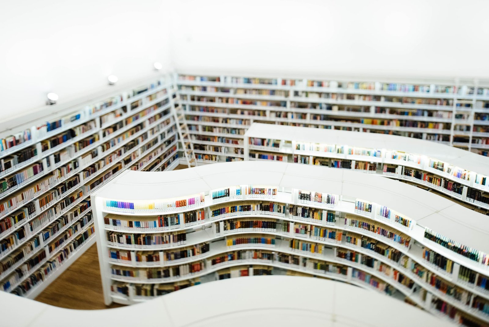 Curved white shelves of a library, seen from above