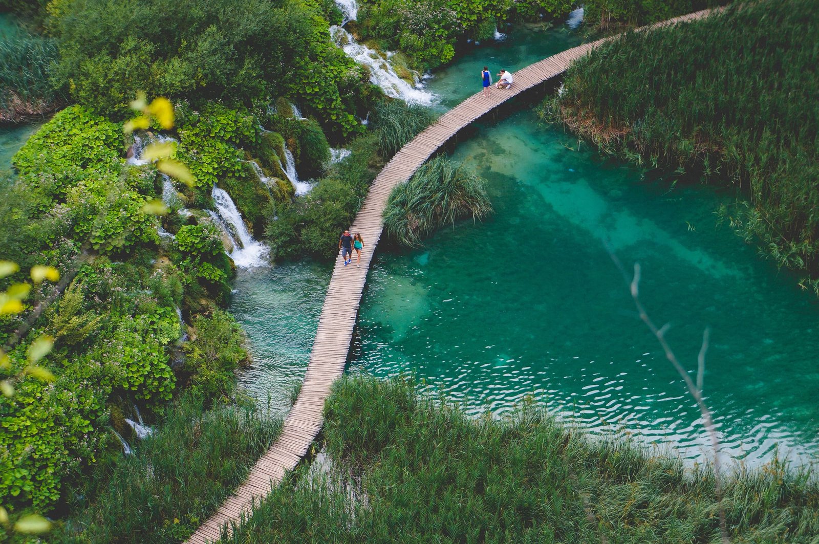A wooden boardwalk winding across clear water between green banks